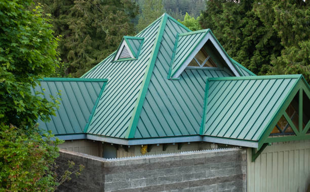 Best Roof Maintenance and Cleaning  in Piednt, MO